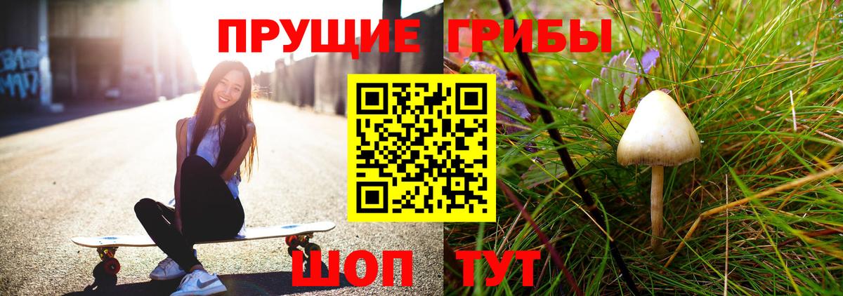 купить  сайты  Псилоцибиновые грибы прущие грибы  Псилоцибиновые грибы Psilocybe  Вход с VPN  Александров 